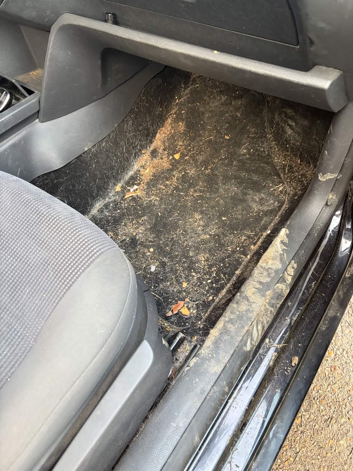 Tapis avant nettoyage
